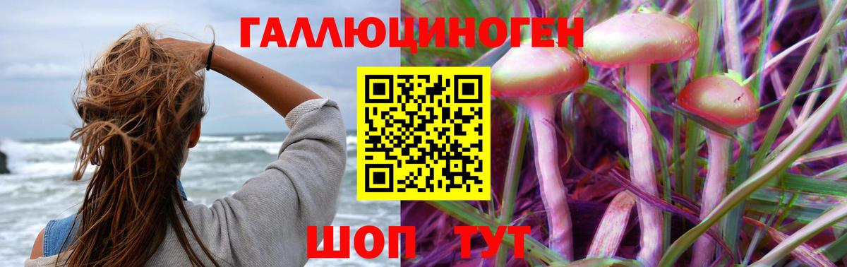 Белово  хочу   Вход с VPN  Псилоцибиновые грибы Magic Shrooms 